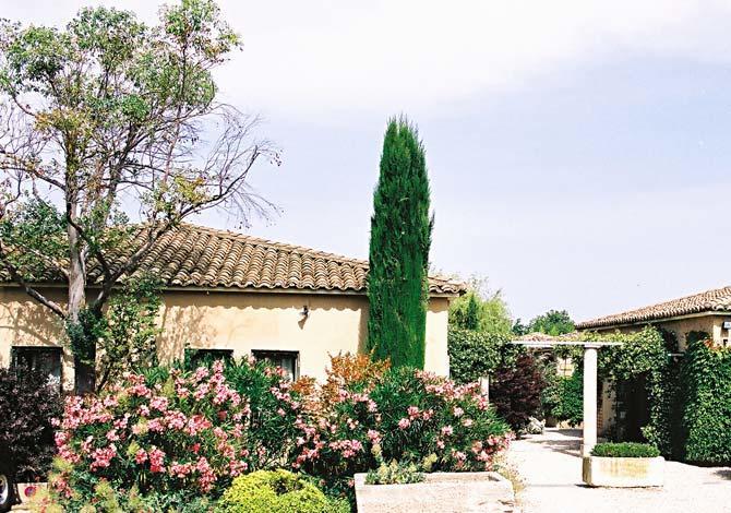 Le Mazet 40 Villa Saint-Remy-de-Provence Ngoại thất bức ảnh
