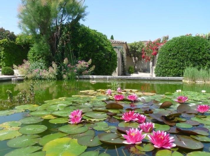 Le Mazet 40 Villa Saint-Remy-de-Provence Ngoại thất bức ảnh