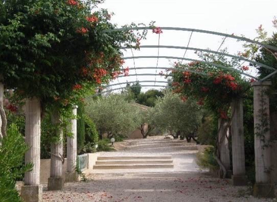 Le Mazet 40 Villa Saint-Remy-de-Provence Ngoại thất bức ảnh
