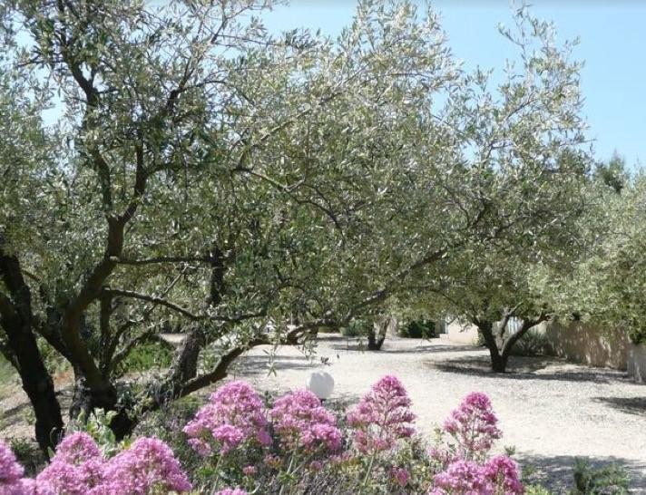 Le Mazet 40 Villa Saint-Remy-de-Provence Ngoại thất bức ảnh