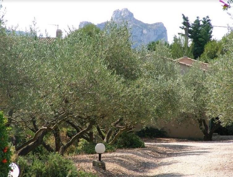 Le Mazet 40 Villa Saint-Remy-de-Provence Ngoại thất bức ảnh